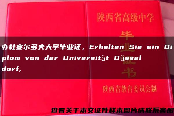 办杜塞尔多夫大学毕业证，Erhalten Sie ein Diplom von der Universität Düsseldorf,