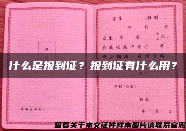 什么是报到证？报到证有什么用？