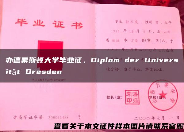 办德累斯顿大学毕业证，Diplom der Universität Dresden