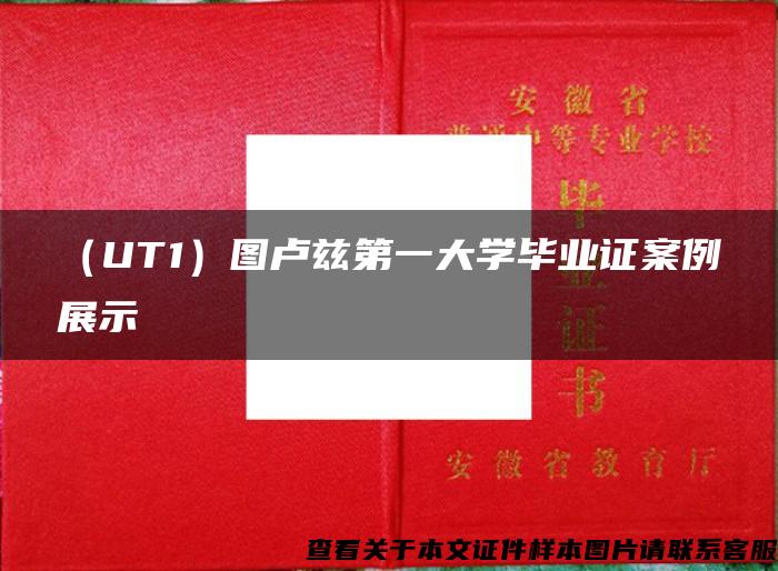 （UT1）图卢兹第一大学毕业证案例展示