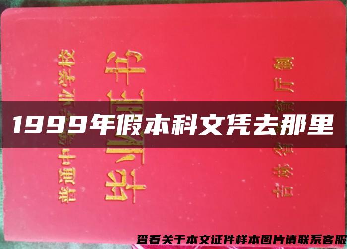 1999年假本科文凭去那里