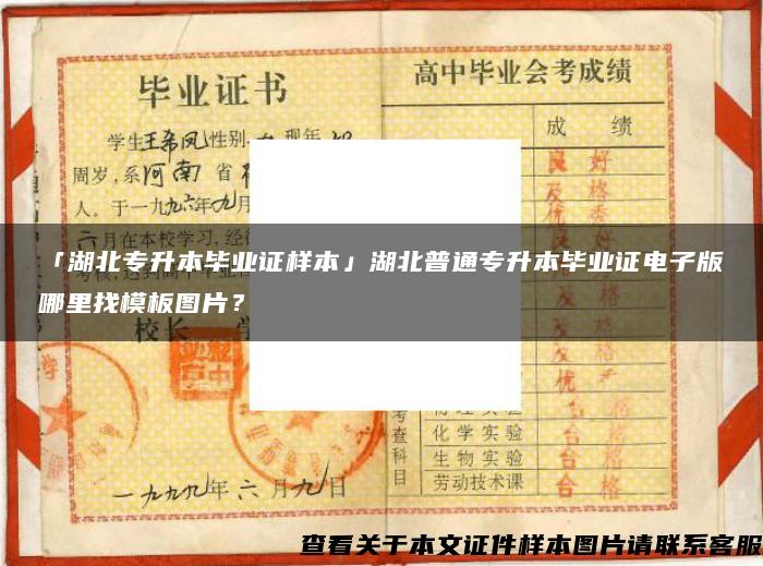 「湖北专升本毕业证样本」湖北普通专升本毕业证电子版哪里找模板图片？