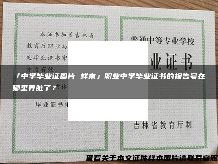 「中学毕业证图片 样本」职业中学毕业证书的报告号在哪里弄脏了？