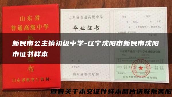 新民市公主镇初级中学-辽宁沈阳市新民市沈阳市证书样本