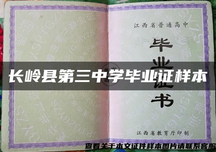 长岭县第三中学毕业证样本