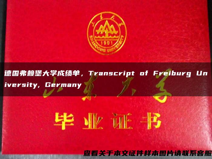 德国弗赖堡大学成绩单，Transcript of Freiburg University, Germany