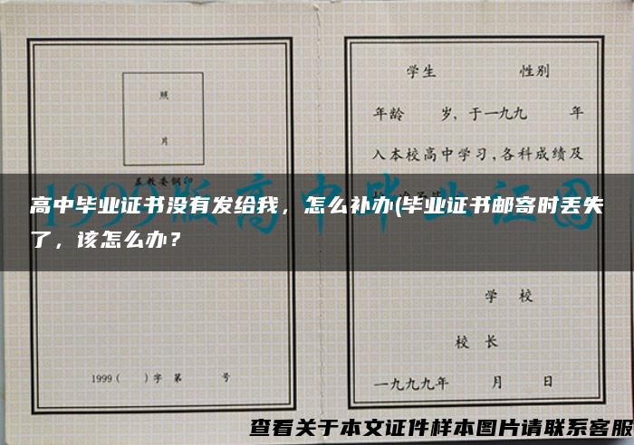 高中毕业证书没有发给我，怎么补办(毕业证书邮寄时丢失了，该怎么办？