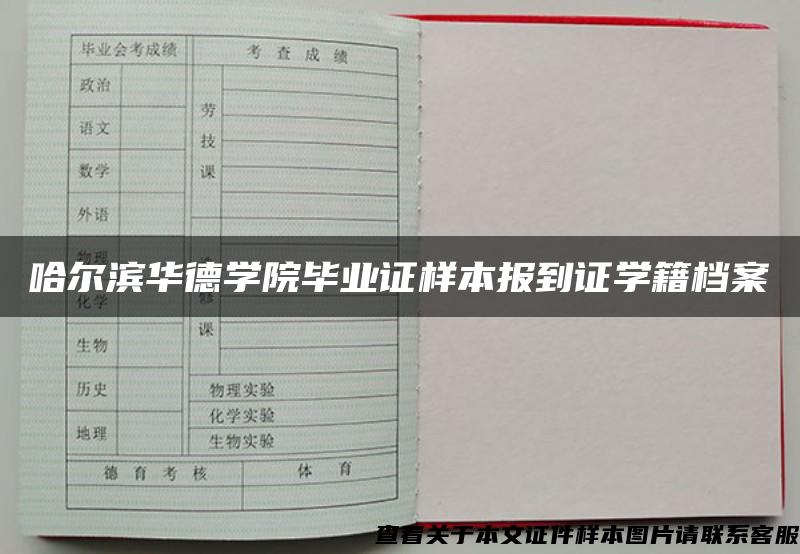 哈尔滨华德学院毕业证样本报到证学籍档案