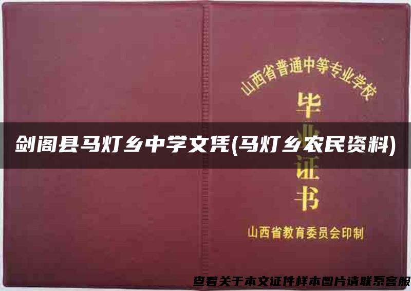 剑阁县马灯乡中学文凭(马灯乡农民资料)