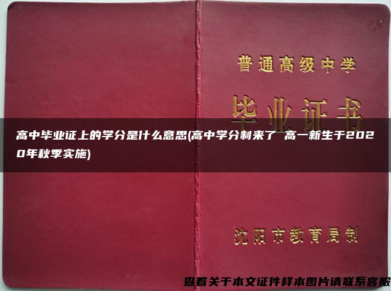 高中毕业证上的学分是什么意思(高中学分制来了 高一新生于2020年秋季实施)