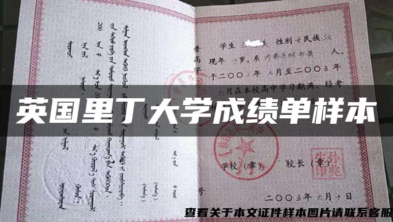 英国里丁大学成绩单样本