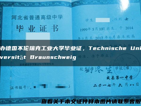 办德国不伦瑞克工业大学毕业证，Technische Universität Braunschweig