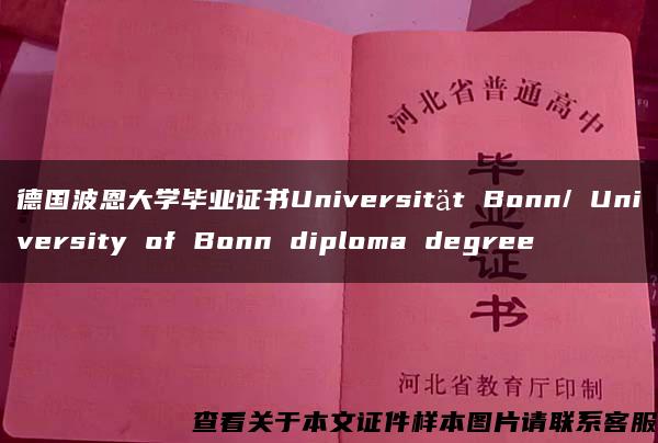 德国波恩大学毕业证书Universität Bonn/ University of Bonn diploma degree