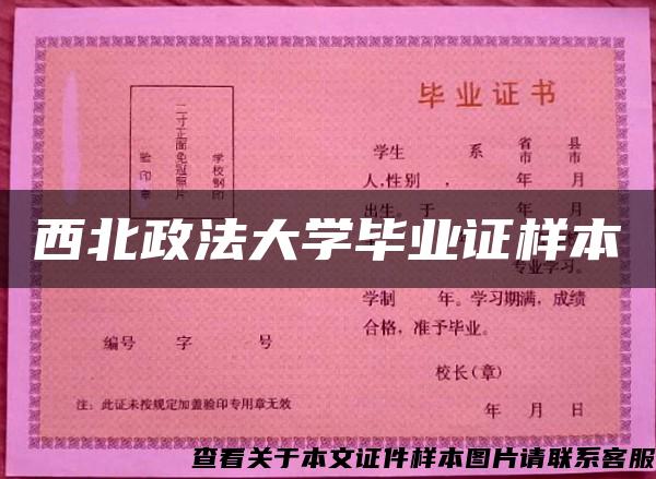 西北政法大学毕业证样本