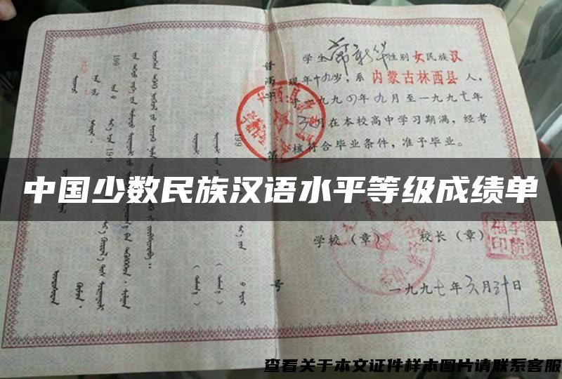 中国少数民族汉语水平等级成绩单