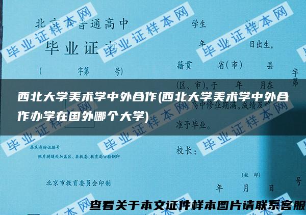 西北大学美术学中外合作(西北大学美术学中外合作办学在国外哪个大学)