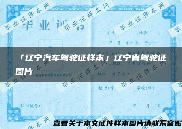 「辽宁汽车驾驶证样本」辽宁省驾驶证图片