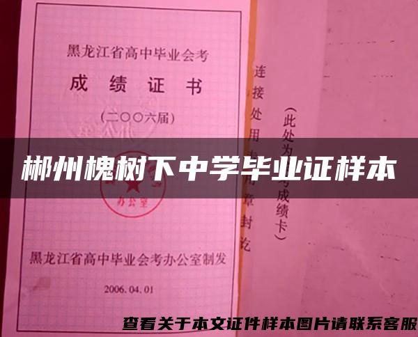 郴州槐树下中学毕业证样本