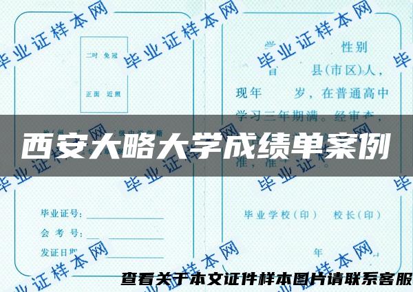 西安大略大学成绩单案例