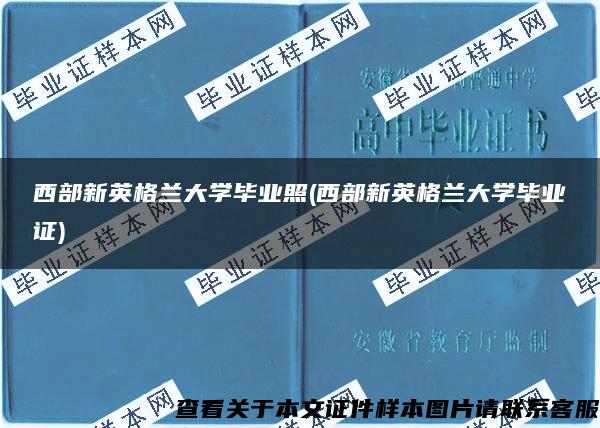 西部新英格兰大学毕业照(西部新英格兰大学毕业证)