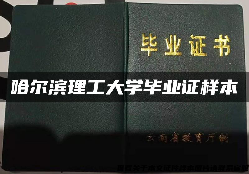 哈尔滨理工大学毕业证样本