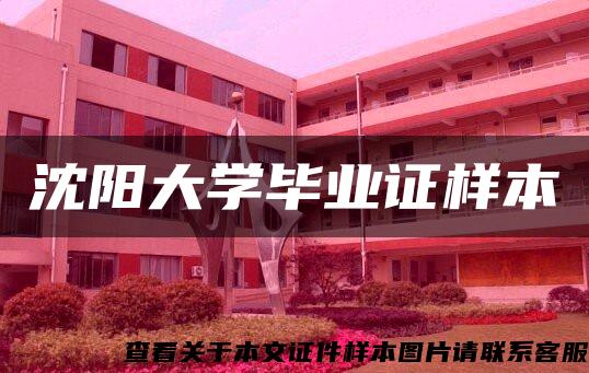 沈阳大学毕业证样本