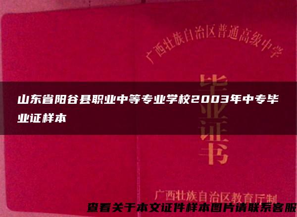 山东省阳谷县职业中等专业学校2003年中专毕业证样本