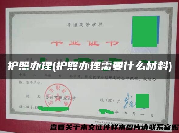 护照办理(护照办理需要什么材料)