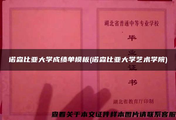 诺森比亚大学成绩单模板(诺森比亚大学艺术学院)