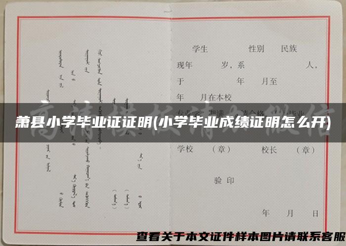 萧县小学毕业证证明(小学毕业成绩证明怎么开)