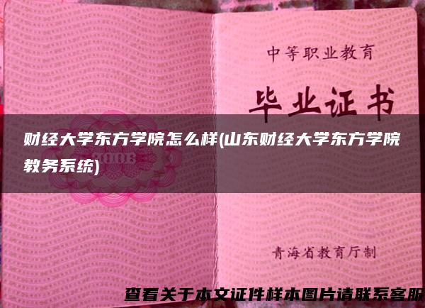 财经大学东方学院怎么样(山东财经大学东方学院教务系统)