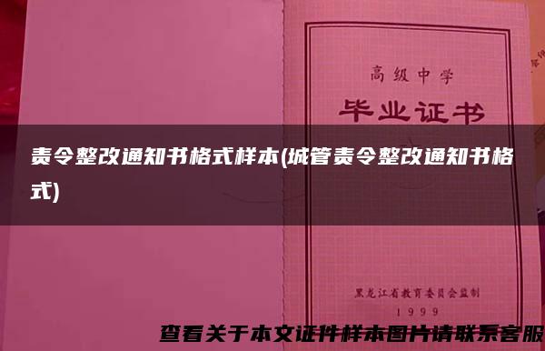 责令整改通知书格式样本(城管责令整改通知书格式)