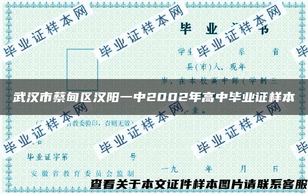 武汉市蔡甸区汉阳一中2002年高中毕业证样本