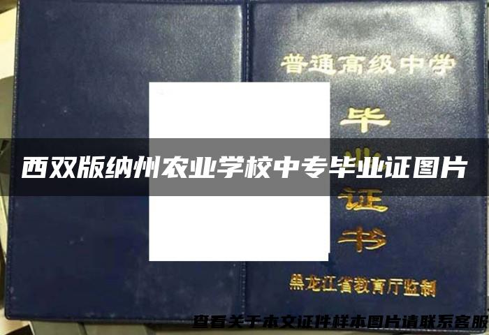 西双版纳州农业学校中专毕业证图片