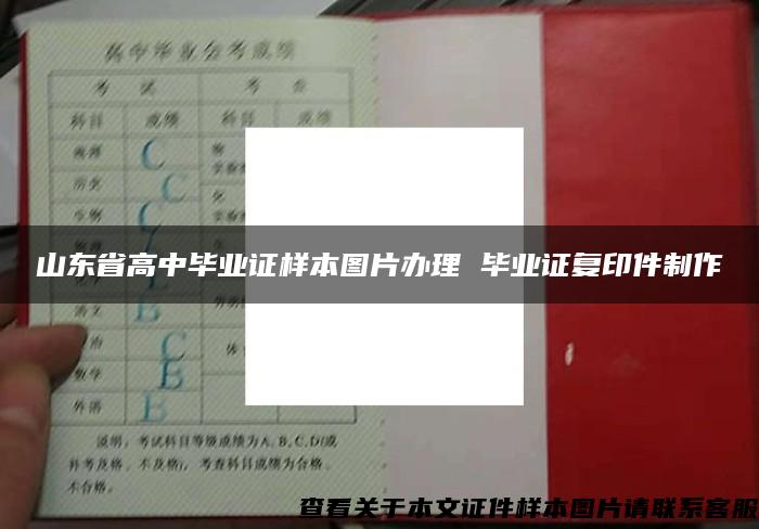 山东省高中毕业证样本图片办理 毕业证复印件制作