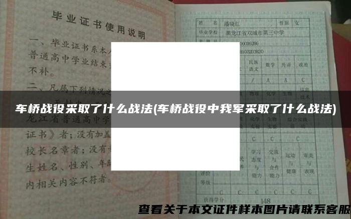 车桥战役采取了什么战法(车桥战役中我军采取了什么战法)