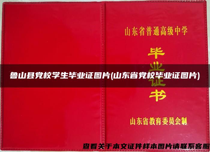 鲁山县党校学生毕业证图片(山东省党校毕业证图片)