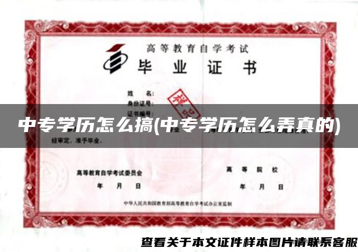 中专学历怎么搞(中专学历怎么弄真的)