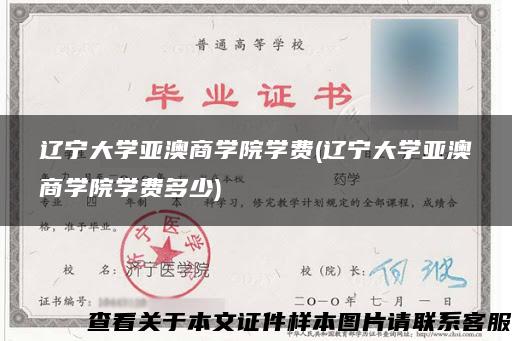 辽宁大学亚澳商学院学费(辽宁大学亚澳商学院学费多少)