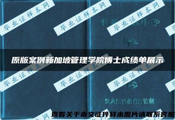 原版案例新加坡管理学院博士成绩单展示