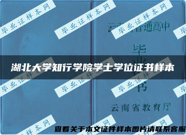 湖北大学知行学院学士学位证书样本