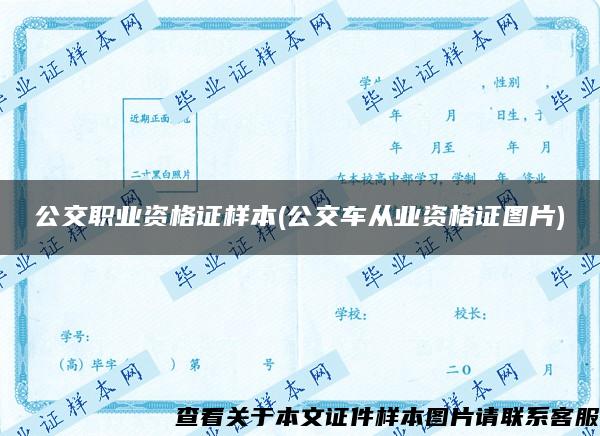 公交职业资格证样本(公交车从业资格证图片)