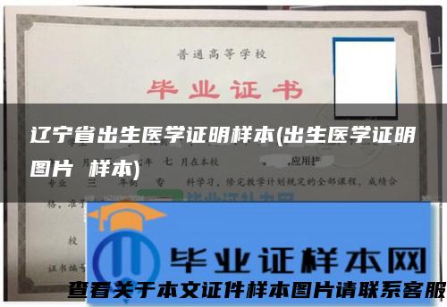 辽宁省出生医学证明样本(出生医学证明图片 样本)