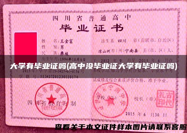 大学有毕业证吗(高中没毕业证大学有毕业证吗)