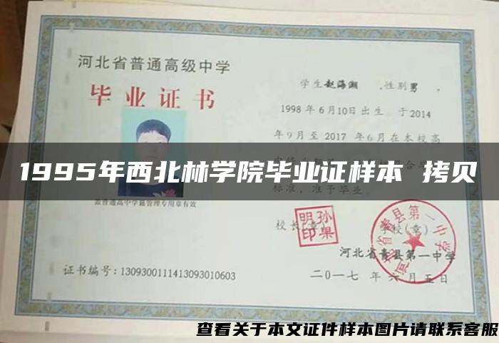 1995年西北林学院毕业证样本 拷贝