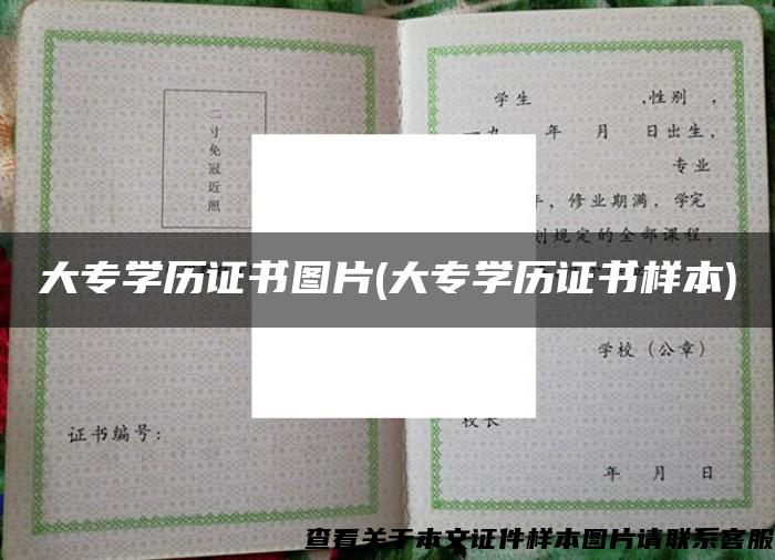 大专学历证书图片(大专学历证书样本)