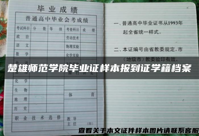 楚雄师范学院毕业证样本报到证学籍档案