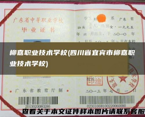 柳嘉职业技术学校(四川省宜宾市柳嘉职业技术学校)