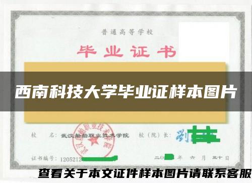 西南科技大学毕业证样本图片