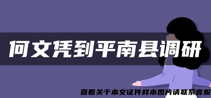 何文凭到平南县调研